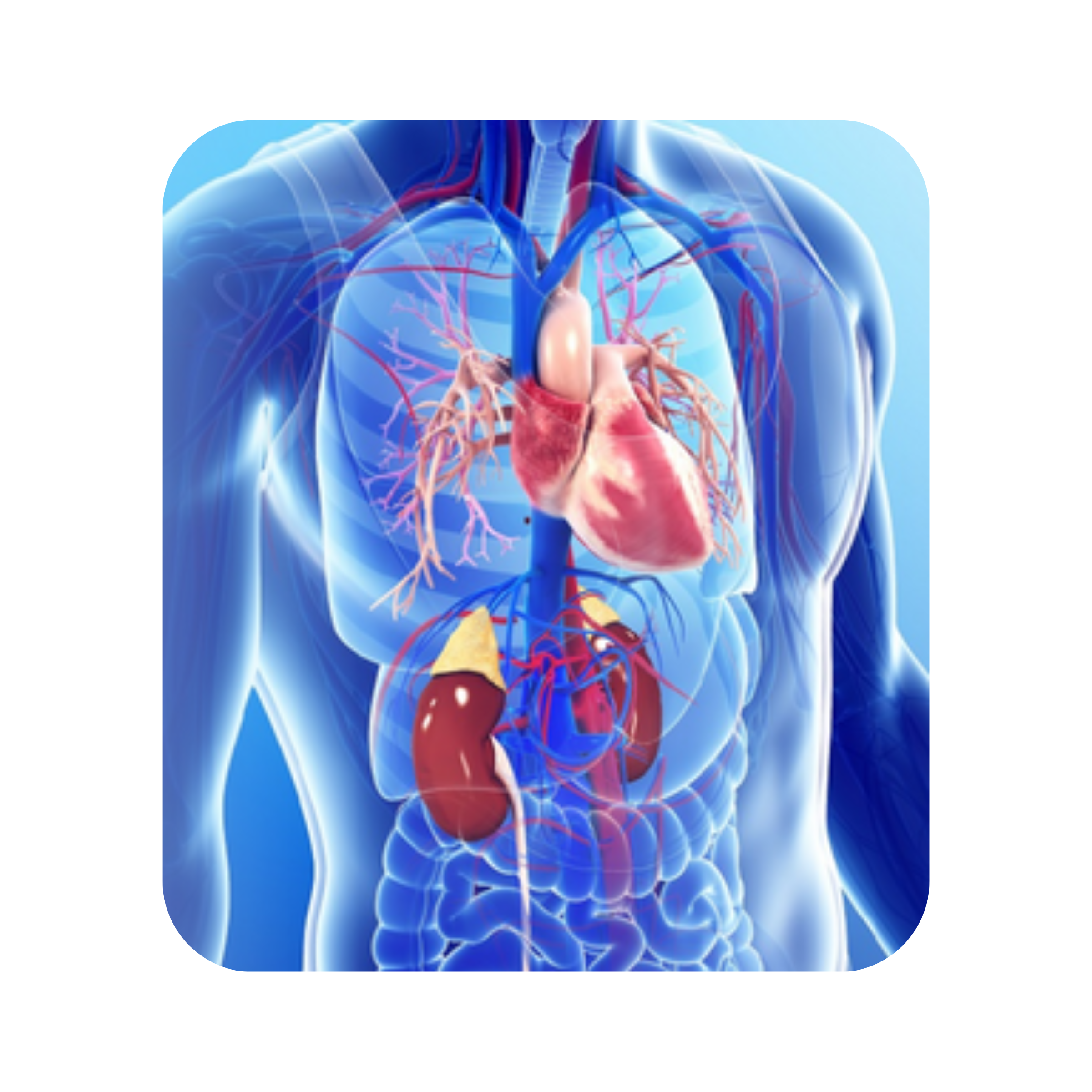 Angiography & Angioplasty