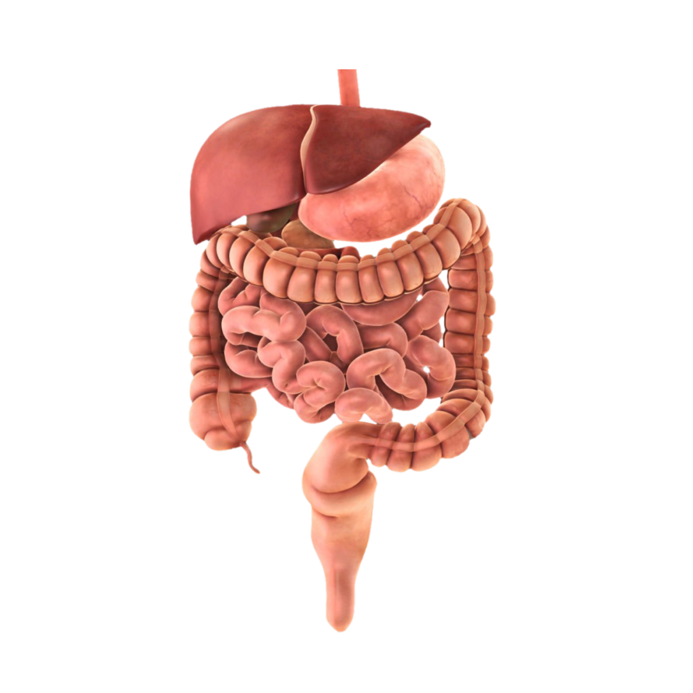 Angiography & Angioplasty